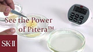 SK-II: See the Power of Pitera™ before your eyes