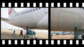 VIAGS TSN   GROUND HANDLING SERVICES AT TAN SON NHAT AIRPORT