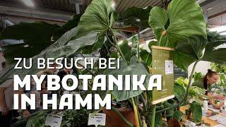 MYBOTANIKA IN HAMM: Mit Zarbex und einem 3.000 € Philodendron!