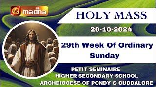 20.10.2024 | Holy Mass in English 1:00 PM  (Sunday Third Mass) | Madha TV