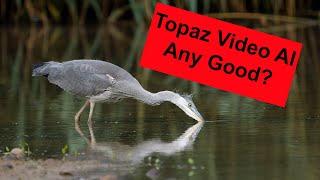 I look at Topaz Video AI mainly to see what it does to create slow motion videos from normal speeds