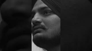 Cut Off (Yt Shorts) | Sidhu Moosewala | True Roots | Gamechangerz | #punjabisong 2023