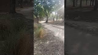 devnahari ground