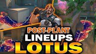 EASY TO LEARN BRIM's POST-PLANT MOLLY LINEUPS FOR LOTUS