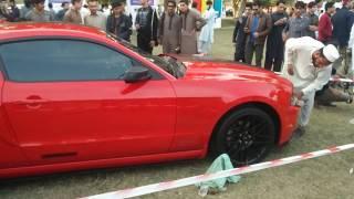 mustang in peshawar