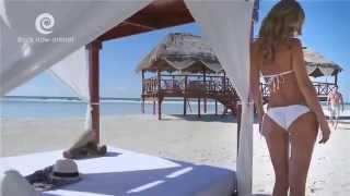 El Dorado Spa Resorts & Hotels | SignatureVacations.com