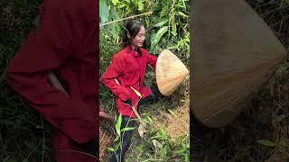 Măng sặt Tây Bắc vào mùa rồi #nanghayenbai #amthuctaybac #cuocsongvungcao #cuocsong #mangsat