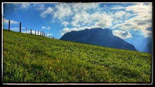 Study-Sound: Lawn Grassland Hayfield – 8 hours relaxing nature sound – Switzerland - cowbell