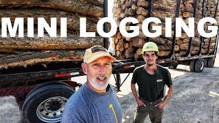 UNIQUE LOGGING JOBS AND WOOD MARKETS