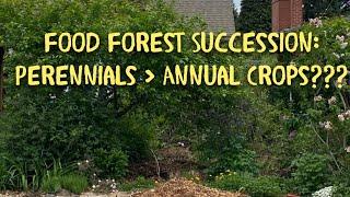 Food Forest Succession: The Natural Shift from Annual to Perennial Crops