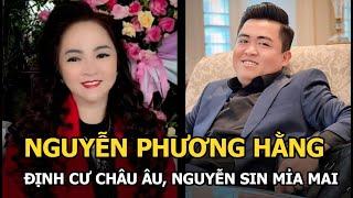 Bà Phương Hằng định cư châu Âu, Nguyễn Sin mỉa mai