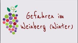 Ein Wort zum Wein - Gefahren im Weinberg (Winter)