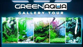 GREEN AQUA Gallery Tour 2024 Spring | Cinematic