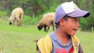 LUIS CISNEROS Y SU HERENCIA MUSICAL-FLOR MENUDITA-VIDEO OFICIAL-ALBUM 2018