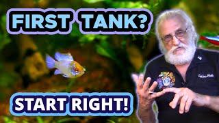 3 Things You MUST DO RIGHT in Your New Aquarium #firstaquarium