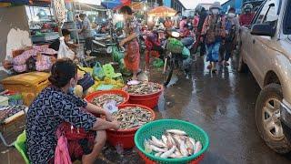 Early Morning Fish Market at Prek Phnov Bridge - Amazing Big Fish Market @Prek Phnov in The Morning