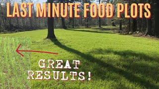 PLANTING LAST MINUTE FOOD PLOTS