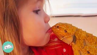 This Bearded Dragon Scares Everyone. But Girl Thinks He’s Beautiful | Cuddle Buddies