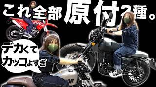 最新ヤバい原付10連発！迫力凄すぎ125ccバイクや遊べる原付1種！モトラ復活などMCSから実車映像！
