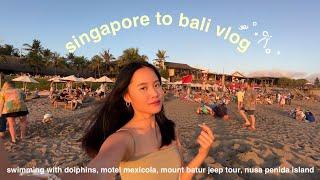 bali diaries pt.2 | swimming with dolphins, motel mexicola, mt batur jeep tour, nusa penida islands