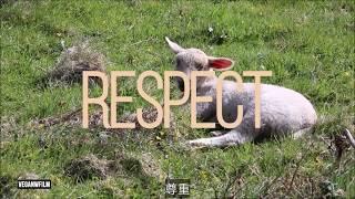 素食者／純素者只愛動物、不愛人？Do Vegans Love Animals More? by VEGANWFILM