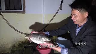 小莫的农村生活，想吃河鱼很简单，进山转转就能抓到大鱼