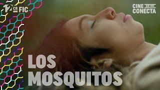 LOS MOSQUITOS (tráiler oficial)