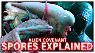 The CONTINUAL STUPIDITY Of Humanity In Alien Covenant Explained