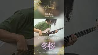 MJ-FUYUZAKURA WSE’24/E【OK bass】 #guitar #bass #momose #shorts #okbass