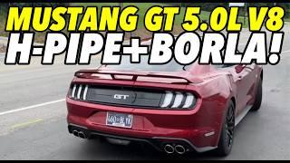 2019 Ford Mustang GT 5 0L V8 w/ H-PIPE & BORLA S-TYPE!