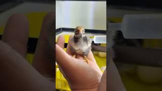 اسمشو میذارم لذت بخش ترین لحظه ی زندگی 