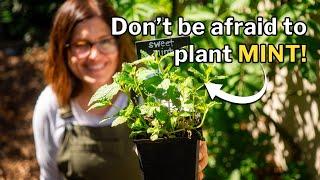 MINT GROWING GUIDE: Conquer the Challenges of Mint!