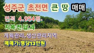 [2080] 성주땅 매매, 성주 전원주택지 매매, 성주 농지 매매. 성주군 초전면 자양리 4,954(평당13만원)