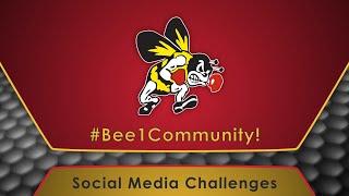 Bee 1 Community Challenge