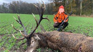 EXCEPTIONAL deer! Wild boars,Deer| Defeated in Poland November 2024 | Shotkam compilation