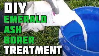 DIY Emerald Ash Borer Treatment | Treating Ash Trees for Emerald Ash Borer Yourself | EAB Treatment