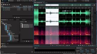 Audition Tutorial 1