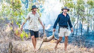 Kangaroo Catch & Cook in Remote Australia (ep2)