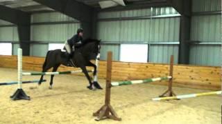 Corey does gridwork at Tebogo Sport Horses