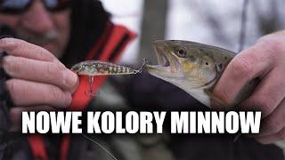 NOWE KOLORY SALMO MINNOW | PIOTR PISKORSKI