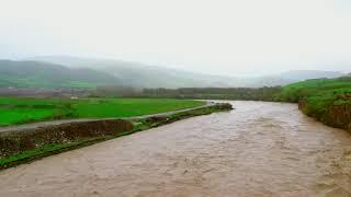 A spectacular video of the swarming of the Zab Sardasht River