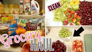 GROCERY HAUL FAMILY OF 4 | HOW TO CLEAN PRODUCE! | XoJuliana