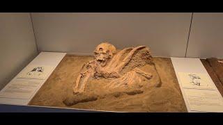 300 Thousand Years Old remains of first human displayed at the Israeli museum in Jerusalem