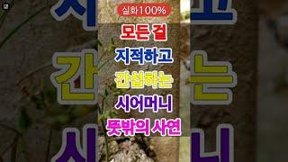 [실화]모든 걸 지적하고 간섭하는 시어머니의 뜻밖의 사연