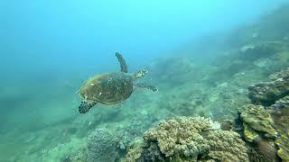 Roman Ondruj - Adventure Freediving