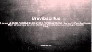 Medical vocabulary: What does Brevibacillus mean