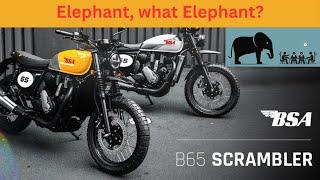 BSA B65 and THE ELEPHANT IN THE ROOM. We need to talk about this bike, BSA, Goldstar and the Dealers