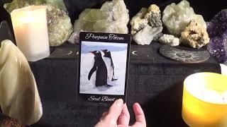 ️Leo ~ Spirit Keeps Talking About This Soulmate! | Message For Right Now