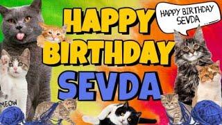 Happy Birthday Sevda! Crazy Cats Say Happy Birthday Sevda (Very Funny)