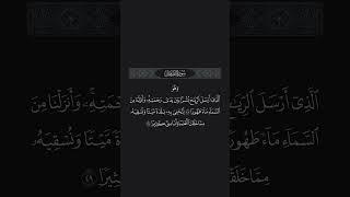 سورة الفرقان 48-49 ماهر المعيقلي